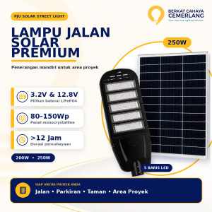 Lampu Jalan PJU Solar 2 IN 1 Proyek 200W 250W Baterai 3.2V 12.8V LiFePO4 Panel Terpisah Tenaga Surya MPPT Controller