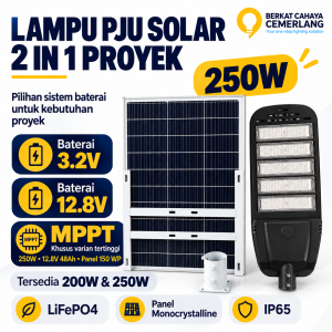Lampu Jalan PJU Solar 2 IN 1 Proyek 200W 250W Baterai 3.2V 12.8V LiFePO4 Panel Terpisah Tenaga Surya MPPT Controller