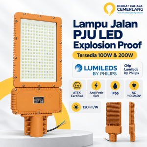 Lampu Jalan PJU LED Explosion Proof 100W 200W ATEX IP66 Industrial Hazardous Area Anti Petir